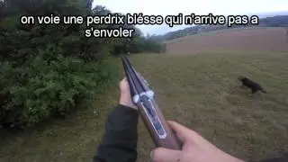 chasse aux perdrix