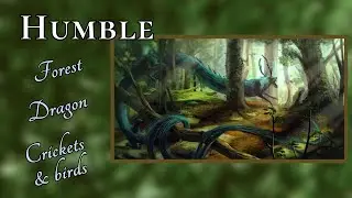 Humble | Forest, Dragon, Crickets, Heartbeat, Birds, & Ambient music