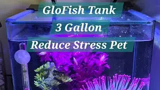 GloFish Tank API Review - Reduce Stress Pet Visual and Audio