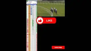 Duas Opera&ccedil;&otilde;es na Pr&aacute;tica #horse