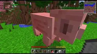 Hexxit II Hardcore: Ep 1?
