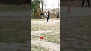 Jarif 🔥🔥 #cricket #viral #shortsvideo #cricketlover #RK Sports
