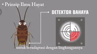 Biomimikri Kecoa Dalam Rekayasa Teknik Mesin