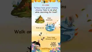 Fun Facts About Turkey Quiz: What Makes Wild Turkeys So Tough? | Fun Facts About Turkeys