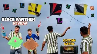 Cotton Gattu Review || Black Panther Gold || Kite Fight 2025 🔥