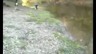 Poribljavanje Rzava