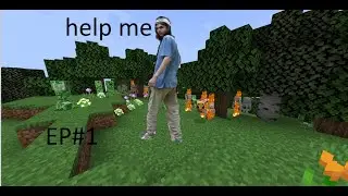 The most cursed Minecraft let's play you'll ever see