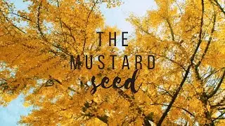 The mustard seed;