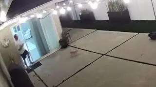 Tail-wagging trouble: Playful pooch's clumsy caper creates a comical catastrophe || WooGlobe