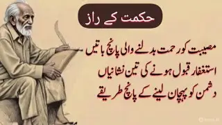 Secrets that Touch the Heart | Hikmat Ki Batain | Luqman Hakeem Quotes | Wisdom Quotes in Urdu