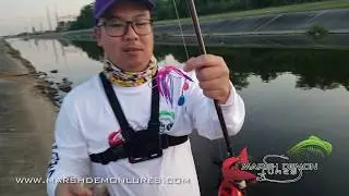 Bass on Marsh Demon Lures