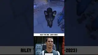 Riley The Dog COD Ghosts vs MW3 #warzone #mw3