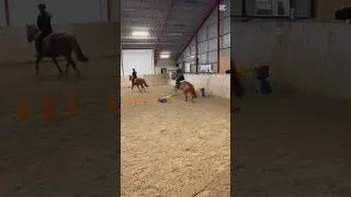 😝😝 #showjumping #winterriding #indoorarena #horsejump #equestrian #horsegirl #ytshorts #viral #fyp