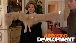 Lucille and Her Missing Foot | Arrested Development