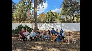 Silken Windhounds of Florida Brunch Meetup Jan2026