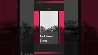 Lucky Irani Circus Shorts