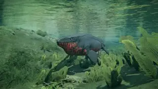 Playing as the prehistoric orca live stream