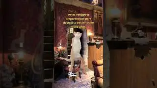 Peter Pettigrew 😡🐀 #harrypotter #harrypotteredit #harrypotterfan #potterhead #harrypottermeme