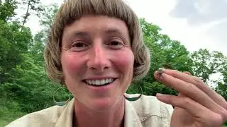 Breeding C. Moschata for Squash Bug Resistance (Introduction to SARE Grant 2021)