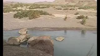 Song: Halo haalo - Saeed Borhanzahi Rind