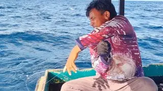 PAS UMPAN TERAKHIR DISAMBAR IKAN MAHAL SEHARGA 72O 000