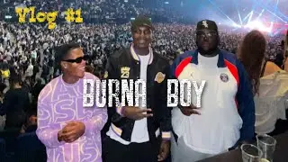 BURNA BOY CONCERT IN ZURICH 💯🔥mit 2santosraphael | YOUNGBOYRICHII VLOG #1