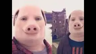 John pork.