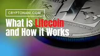 What is Litecoin and how it works
