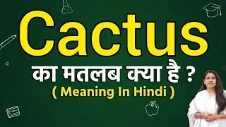 Cactus meaning in hindi | Cactus ka matlab kya hota hai | Word meaning