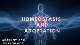 Chapter Two || Anatomy || BSN #health #bsn #learning 