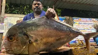 8 January 2026