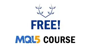 MQL5 course for FREE and how to use my platform!