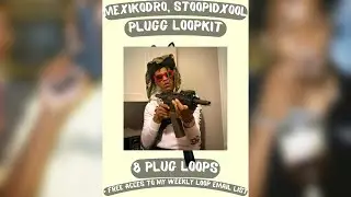 [FREE] PLUG SAMPLE PACK 2023 / 8 PLUG LOOPS🔌