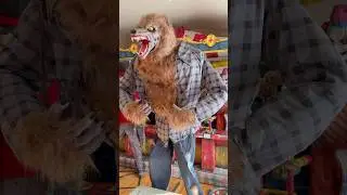 Big Lots 2024 Howling Werewolf Animatronic! #halloween #decorations #animatronics #biglots #shorts