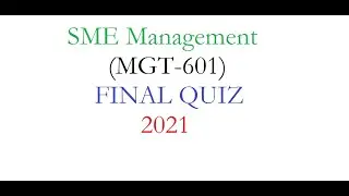 MGT601 &ndash; SME Management -final quiz for vu student//