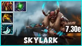 [PRO] Skylark the Beastmaster Dota 2 Patche 7.30e | Dota 2 Learn Gameplay