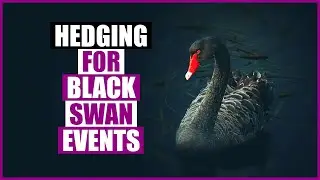 Should You Hedge For A Black Swan Event? (Probably Not!)