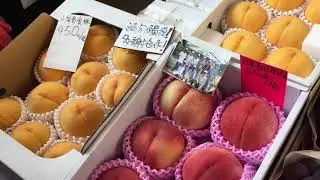 Hongkong Fruchtmarkt - Impressionen