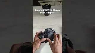 Sigma MC-21 | S5IIX EF Mount Lens Adapter #lumixs5ii #lumix #lumixs5iix