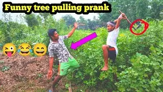 Funny tree pulling prank videos | village tree pulling prank | tree pulling prank | funny video..