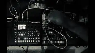 Digitone, Weather Drones, Volca NuBass, Manis Iteritas, Bin Seq