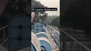 Group d irrigation Beldar work #haryanacet #haryanagroupd2025 #hssc #viral #shortsvideo #fypシ゚viral