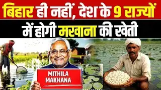 Big Boost for Makhana Farming: Cultivation to Expand to 9 Indian States Beyond Bihar