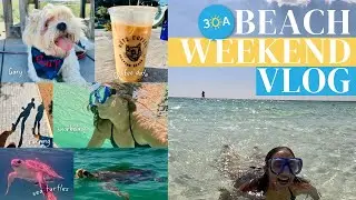 Weekend on 30A: Paddle Boarding, Sea Turtles, Dolphins + Watercolor Run | GoPro Hero 12 Vlog