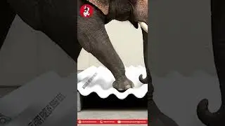 Balmukund Asbestos Cement Sheet के साथ, बनाएं लंबी उम्र वाला निर्माण जो हर मौसम में टिक सके।