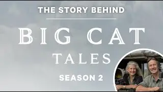 The Story Behind 'Big Cat Tales: Season 2'