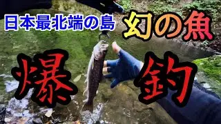 【ヨネスケと同じ場所行ってみたら天国だった】日本最北端の島「礼文島」で巨大魚が爆釣‼︎幻の魚も？！