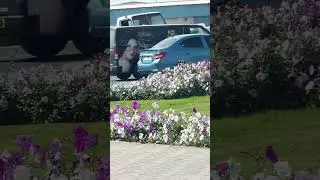 Моя любимая страна &mdash; Дубай, прекрасное место на улице.