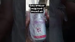 butox medicine for external parasites 🪲🪳  #goatfarming #sheepfarming #telugushorts