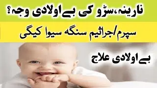 Low Sperm Count in Pashto Language | dr shabir pashto | pashto doctor | Shabir Nama Watch |